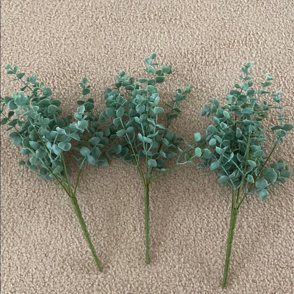 NWOT faux eucalyptus bunch (3)